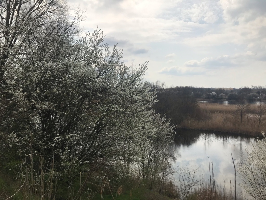 Julia Jesierska.jpeg